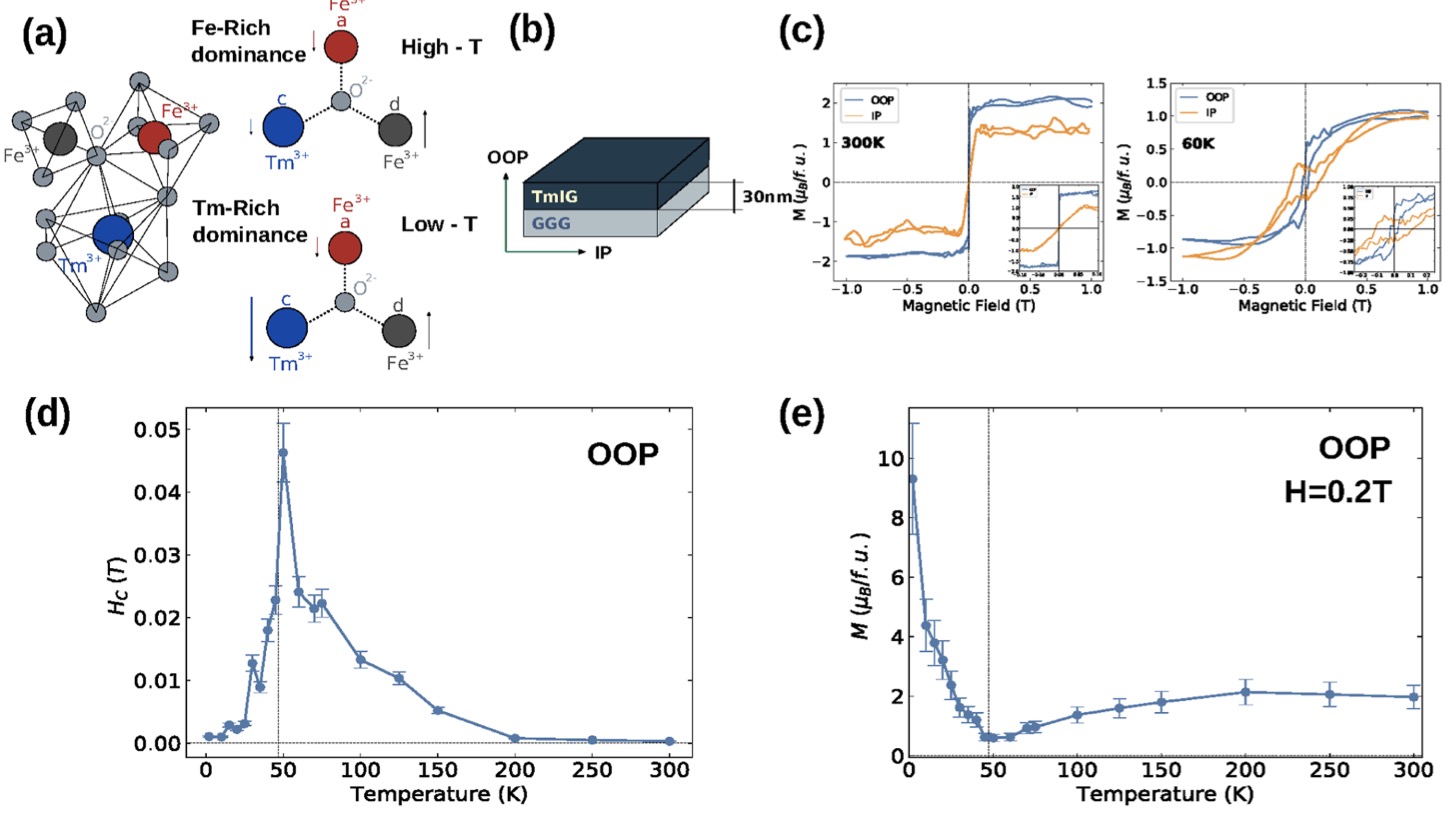 fig1-Compensation-LikeTemperatureSpin-Flip